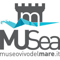 logo-museo-invert